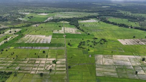 Unlocking Soil’s hidden potential: A Snapshot of ALM projects on the carbon markets