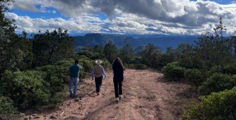 Improved Forest Management in Mexico: Beyond reforestation - A different path to carbon sequestration through Nature-based Solutions