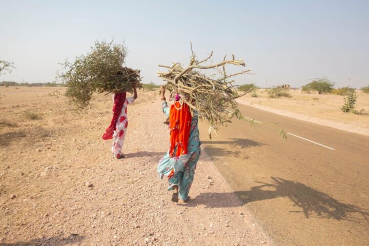 cookstoves expertise of hummingbirds
