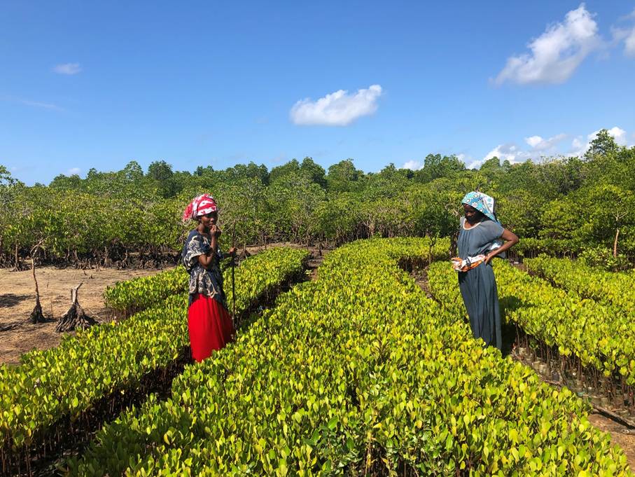 women-in-field-africa